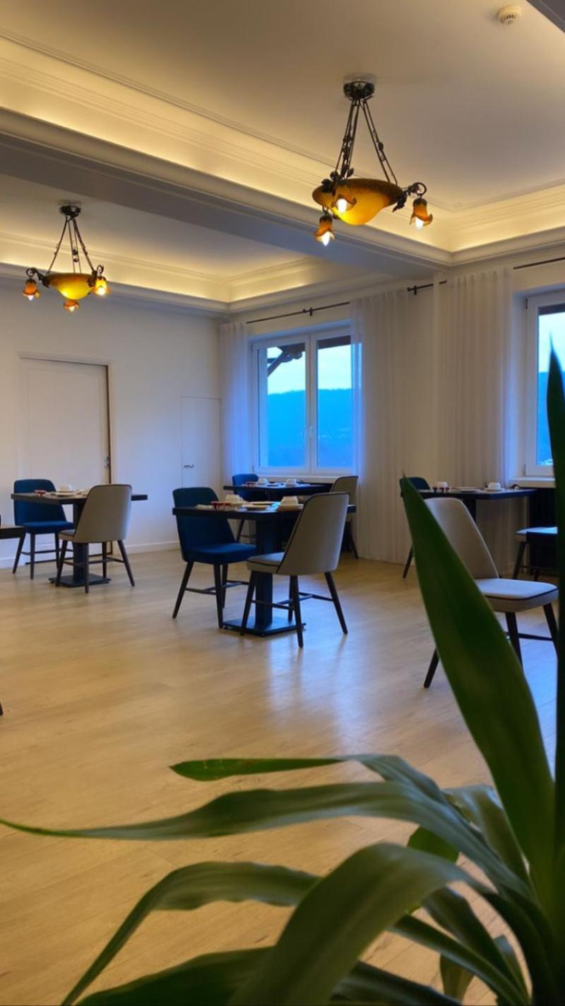 Hotel Le Bellevue Les Roches-de-Condrieu 외부 사진